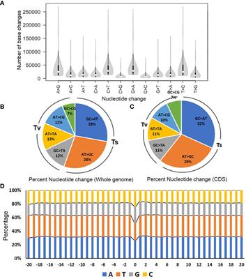 Augmenting tomato functional genomics with a genome-wide induced genetic variation resource